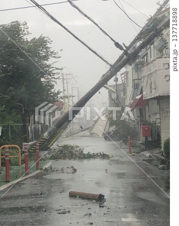 台風であれた町 台風であれた町 137718898