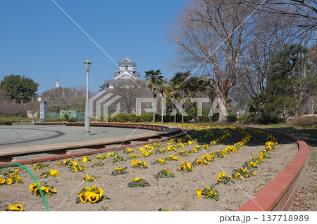 豊公園と長浜城 137718989