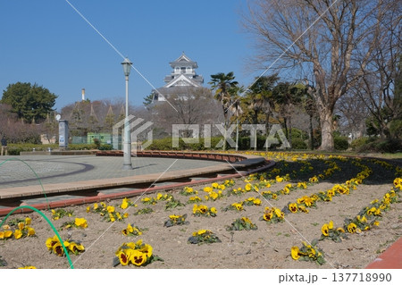 豊公園と長浜城 137718990