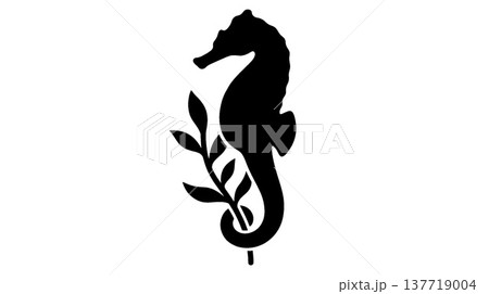 タツノオトシゴと海藻のシルエット 137719004