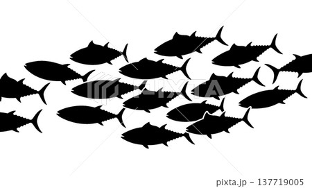 マグロの群れのシルエット 137719005