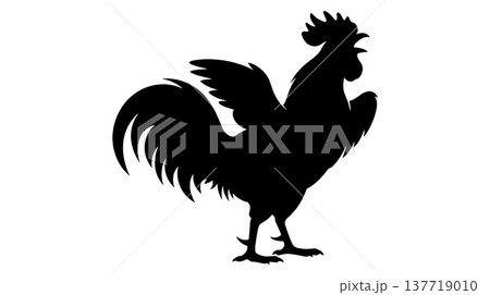 雄鶏の鳴き声のシルエット 137719010