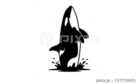 シャチのジャンプと水しぶきのシルエット 137719035