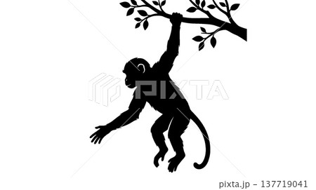 木にぶら下がる猿のシルエット 木にぶら下がる猿のシルエット 137719041