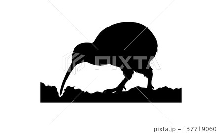 キーウィ鳥のシルエットイラスト 137719060