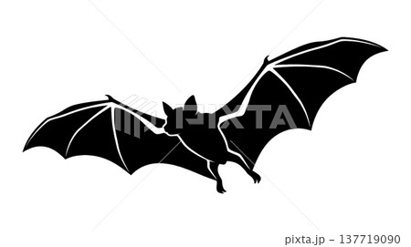 コウモリのシルエットイラスト 137719090