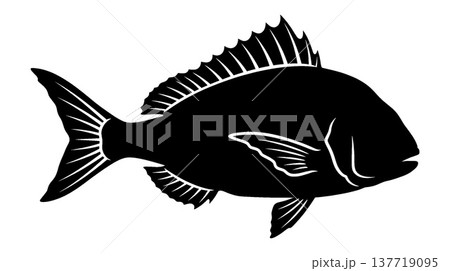 魚のシルエットイラスト 魚のシルエットイラスト 137719095