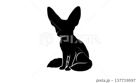 フェネックギツネのシルエット フェネックギツネのシルエット 137719097