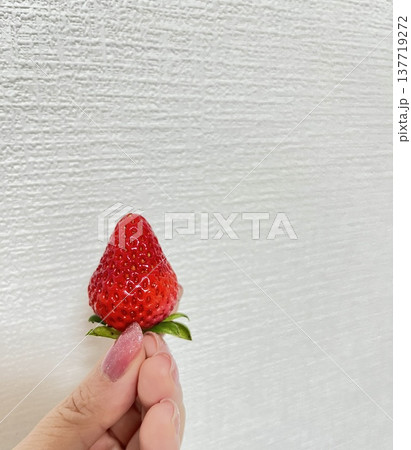 真っ赤な一粒のイチゴ 137719272