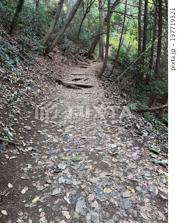 山道 山道 137719321
