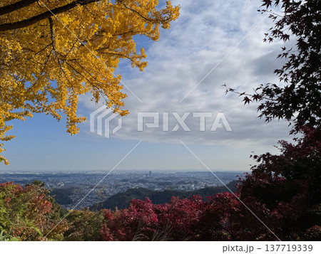 山頂 山頂 137719339
