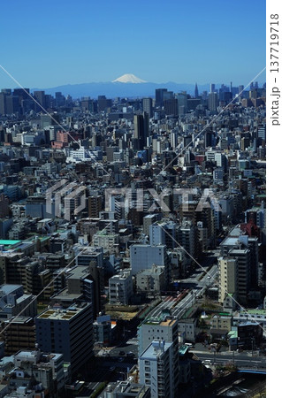 青空に映える冬富士山と新宿副都心の高層ビル群　3月新宿480富士山と新宿副都心・ソラマチ30F 137719718