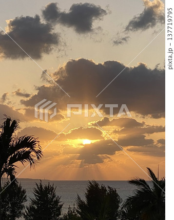 春の沖縄の空に現れた天使の梯子 光芒とヤシの木のシルエット 春の沖縄の空に現れた天使の梯子 光芒とヤシの木のシルエット 137719795