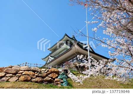 愛知県小牧市_小牧山城跡の桜12_2025年4月 137719846