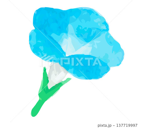 青い紫陽花の水彩イラスト｜ブルーフラワー アジサイ 植物 フラワー 水彩風 137719997