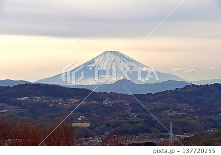 富士山 神奈川県 吾妻山公園 富士山 神奈川県 吾妻山公園 137720255