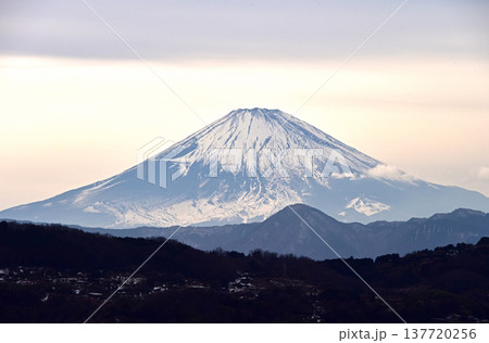 富士山 神奈川県 吾妻山公園 富士山 神奈川県 吾妻山公園 137720256