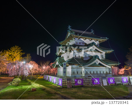 誰もいない暗闇のなか明るくライトアップされた城の天守と満開の夜桜 (青森県、弘前) 137720341