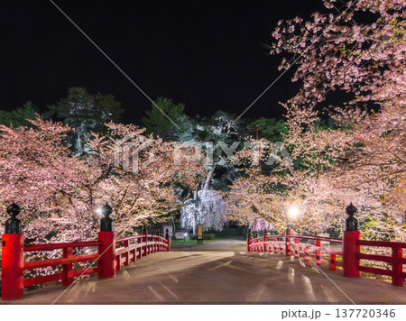夜空を背景に美しく照らし出された満開の桜並木へ続く赤い擬宝珠の橋 (青森県、弘前) 夜空を背景に美しく照らし出された満開の桜並木へ続く赤い擬宝珠の橋 (青森県、弘前) 137720346