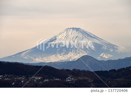 富士山 神奈川県 吾妻山公園 富士山 神奈川県 吾妻山公園 137720406