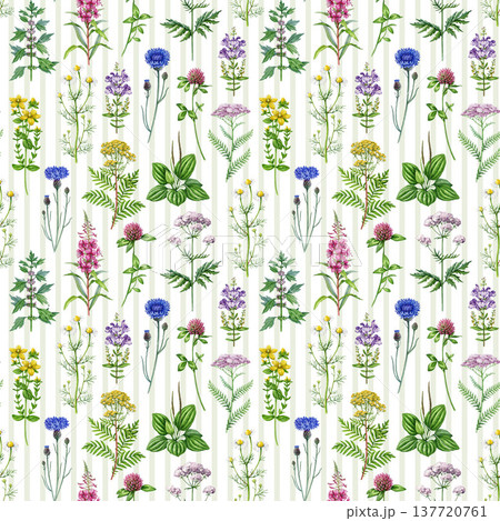 Medicinal herbs and wildflowers seamless pattern. Hand drawn blooming chamomile, yarrow, tansy, plantain, motherwort, valerian wild healing plants watercolor illustration on striped background. Medicinal herbs and wildflowers seamless pattern. Hand drawn blooming chamomile, yarrow, tansy, plantain, motherwort, valerian wild healing plants watercolor illustration on striped background. 137720761