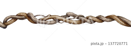 Twisted vine creeper branch seamless border decor element watercolor illustration. Hand drawn liana branch stem element. Natural decor botanical element. Twisted hanging vine tropical plant trunk Twisted vine creeper branch seamless border decor element watercolor illustration. Hand drawn liana branch stem element. Natural decor botanical element. Twisted hanging vine tropical plant trunk 137720771