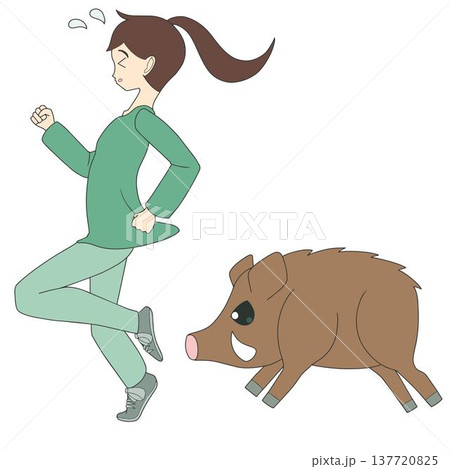 猪突猛進するイノシシとパニックになる女性 絶体絶命のピンチ 137720825