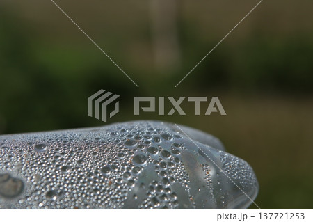 Empty Color Glass Bottle on the table Empty Color Glass Bottle on the table 137721253