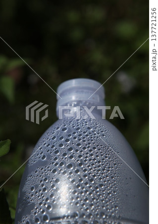 Empty Color Glass Bottle on the table 137721256
