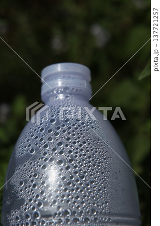 Empty Color Glass Bottle on the table Empty Color Glass Bottle on the table 137721257