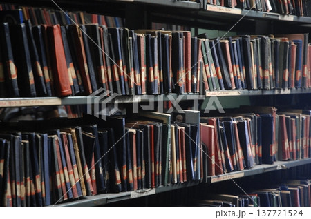 Books in the Library India Books in the Library India 137721524