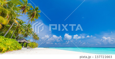 Radiant tropical beach paradise with pristine turquoise ocean and calm lagoon, golden sunshine, idyllic summer vacation mood, relaxing exotic getaway Radiant tropical beach paradise with pristine turquoise ocean and calm lagoon, golden sunshine, idyllic summer vacation mood, relaxing exotic getaway 137721663
