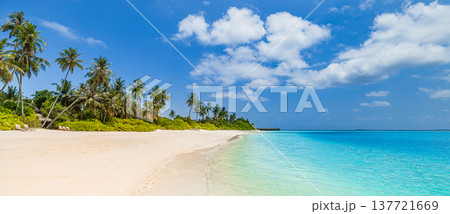 Radiant tropical beach panorama with pristine white sand, turquoise ocean waves, serene lush palm trees, idyllic sunny sky, breathtaking summer vacation landscape, relaxing exotic paradise 137721669