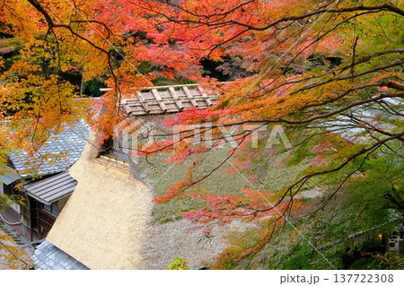 紅葉の奥嵯峨野のかやぶき屋根の古民家 紅葉の奥嵯峨野のかやぶき屋根の古民家 137722308