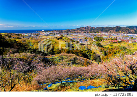 みなべ みなべ 137722893