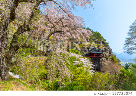 布引観音の桜　長野県小諸市 137723074