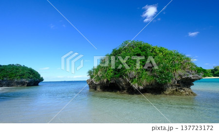 カビラ湾の青い海と波の風景 137723172