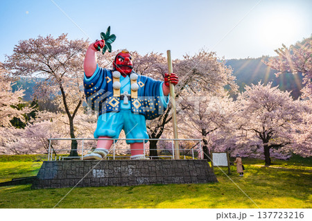 日本一の天狗と桜　戸倉キティパーク　（長野県千曲市） 137723216
