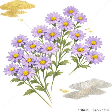 和の趣き 紫色の花と金銀の雲の優雅なイラスト 和の趣き 紫色の花と金銀の雲の優雅なイラスト 137723400