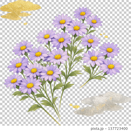 和の趣き 紫色の花と金銀の雲の優雅なイラスト 和の趣き 紫色の花と金銀の雲の優雅なイラスト 137723400