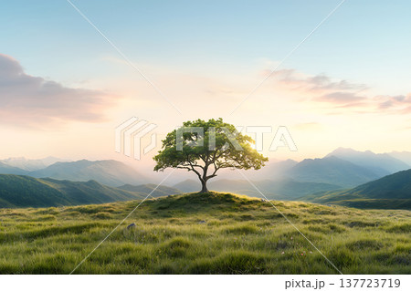 Scenic View of a Lone Tree on a Hilltop Against a Backdrop of Majestic Mountains and Sky 137723719