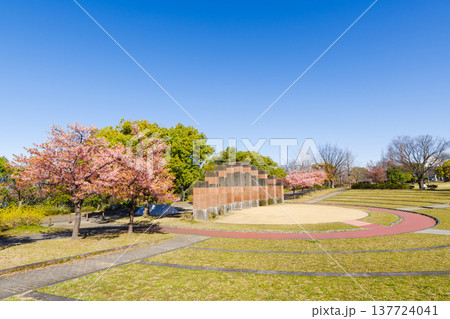 河津桜の咲く公園（名古屋市港区　戸田川緑地） 137724041