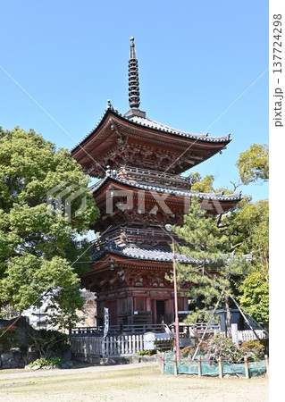 甚目寺の三重塔 137724298