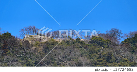 冬の鳥取久松公園 冬の鳥取久松公園 137724682