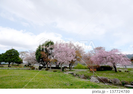 長野県上伊那郡箕輪町_みのわ天竜公園7_2023_4月 長野県上伊那郡箕輪町_みのわ天竜公園7_2023_4月 137724780