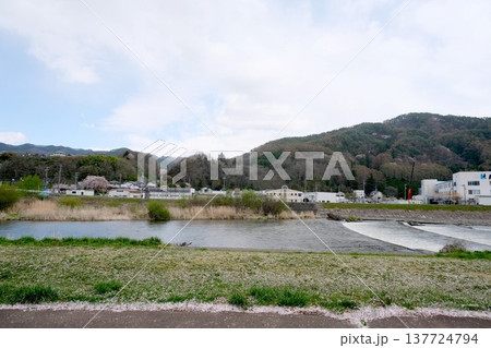 長野県上伊那郡箕輪町_みのわ天竜公園東側の天竜川4_2023_4月 長野県上伊那郡箕輪町_みのわ天竜公園東側の天竜川4_2023_4月 137724794