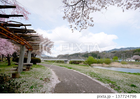 長野県上伊那郡箕輪町_みのわ天竜公園東側の天竜川6_2023_4月 長野県上伊那郡箕輪町_みのわ天竜公園東側の天竜川6_2023_4月 137724796