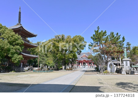 甚目寺三重塔と本堂 甚目寺三重塔と本堂 137724818