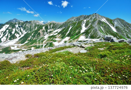 立山アルペンルート 夏山縦走 立山アルペンルート 夏山縦走 137724976