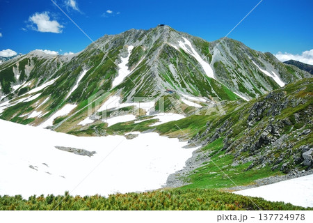 立山アルペンルート 夏山縦走 137724978